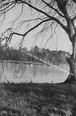 LAKE IN WINTER